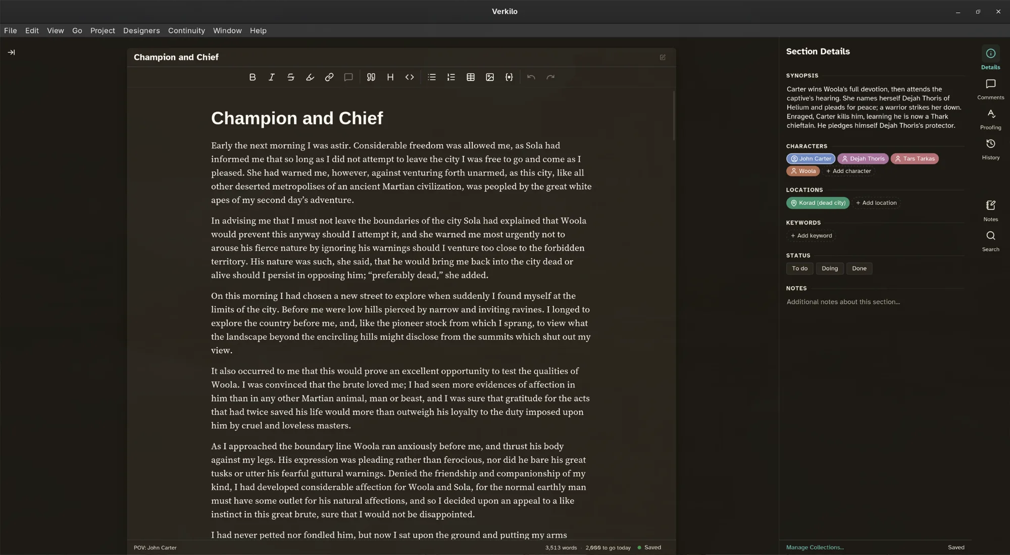 The Verkilo editor with the section details panel open
