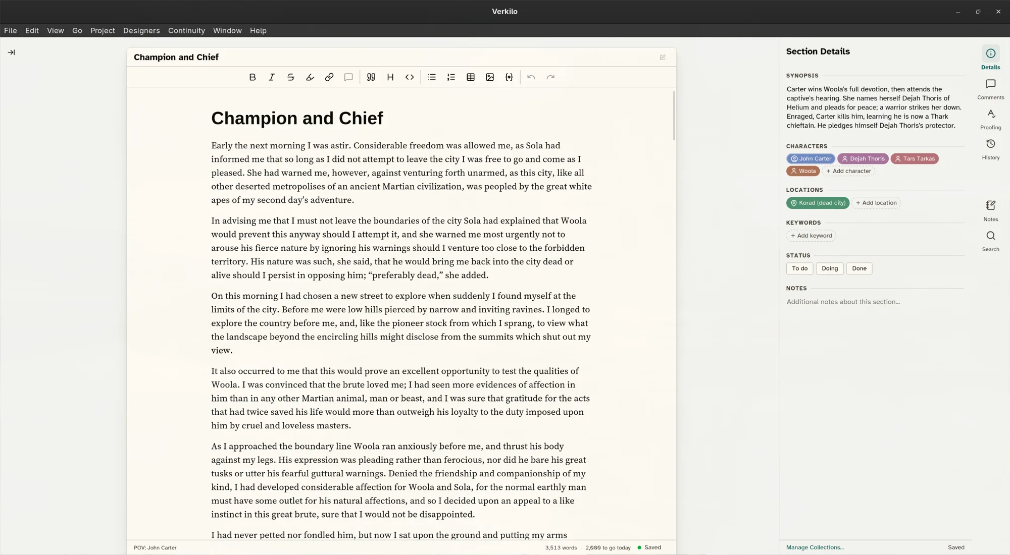 The Verkilo editor with the section details panel open